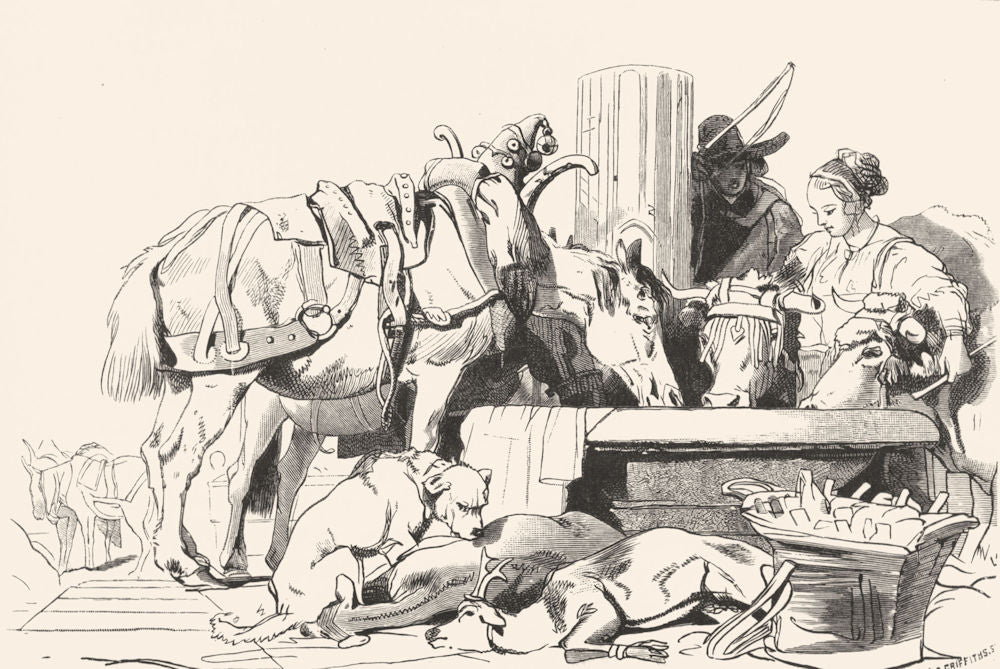 SWITZERLAND. Fountain. Geneva-Landseer c1880 old antique vintage print picture
